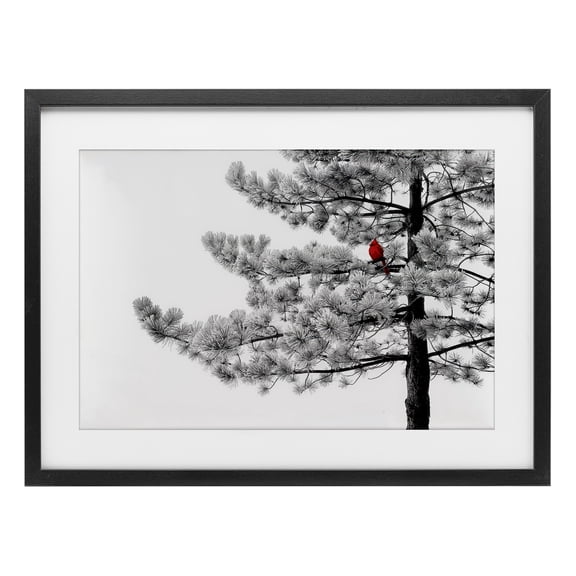 Cardinal in Stark Winter Tree Black Framed Print Under Glass, 23 x 17, Made In USA