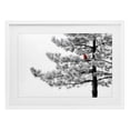 thumbnail image 1 of Cardinal in Stark Winter Tree White Framed Print Under Glass, 23 x 17, Made In USA, 1 of 8