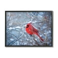 thumbnail image 1 of Stupell Industries Cardinal in Winter Branches Animals & Insects Photography Black Framed Art Print Wall Art, 14 x 11, 1 of 9