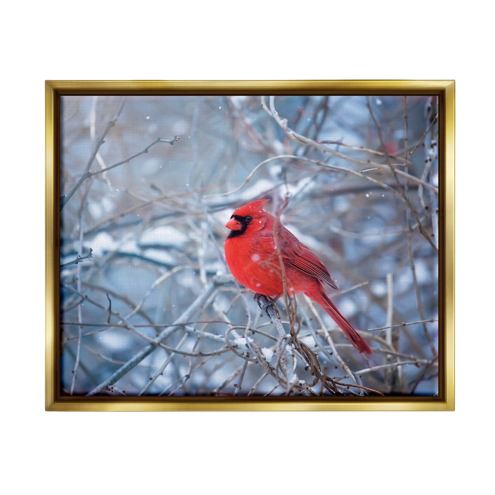 Stupell Industries Cardinal in Winter Branches Animals & Insects Photography Gold Floater Framed Art Print Wall Art, 21 x 17