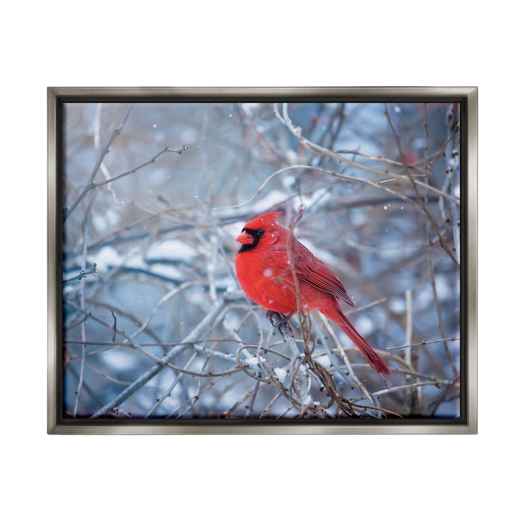Stupell Industries Cardinal in Winter Branches Animals & Insects Photography Gray Floater Framed Art Print Wall Art, 31 x 25