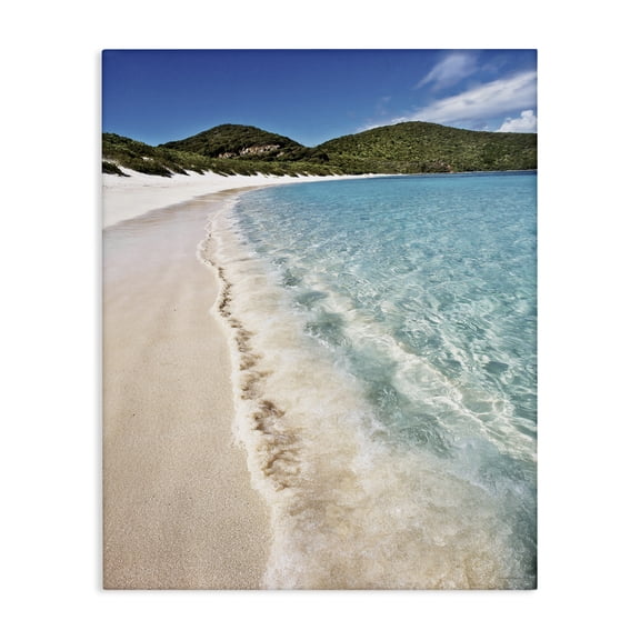 Stupell Industries Caribbean Beach Coast Canvas Wall Art, design by Seven Trees Design