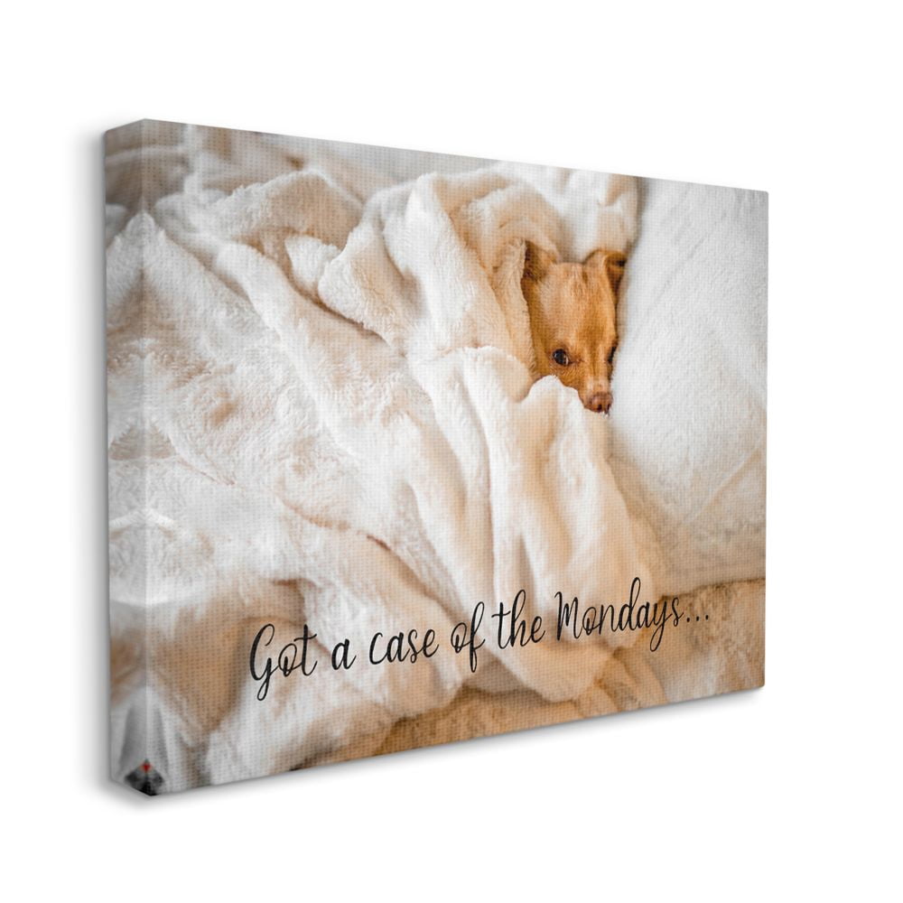 Stupell Industries Case of the Mondays Quote Dog Nap Pet Humor Canvas Wall Art Design by Ziwei Li, 30" x 40"