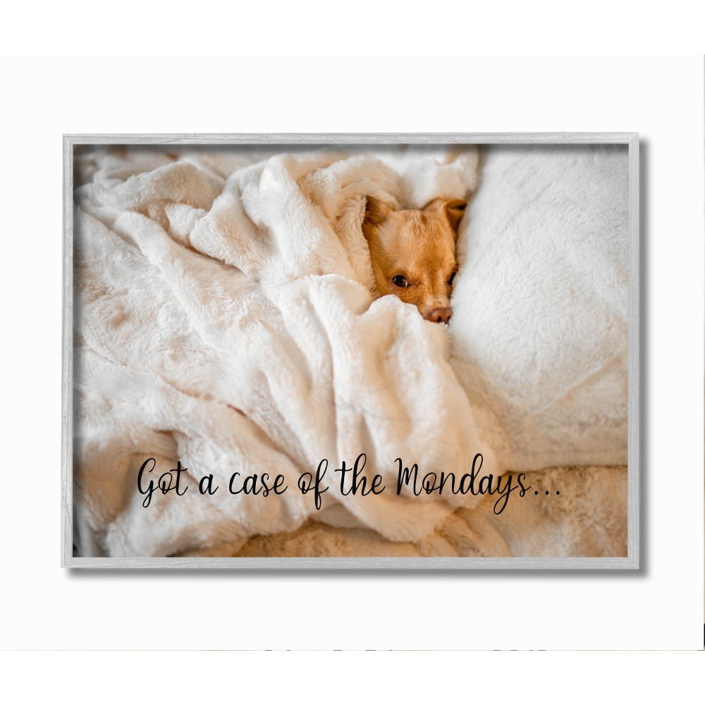 Stupell Industries Case of the Mondays Quote Dog Nap Pet Humor Framed Wall Art Design by Ziwei Li, 11" x 14", Gray Framed