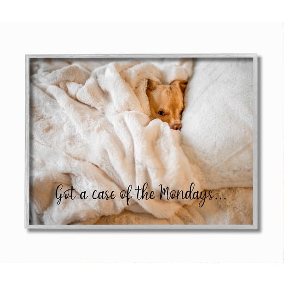 Stupell Industries Case of the Mondays Quote Dog Nap Pet Humor Framed Wall Art Design by Ziwei Li, 11" x 14", Gray Framed