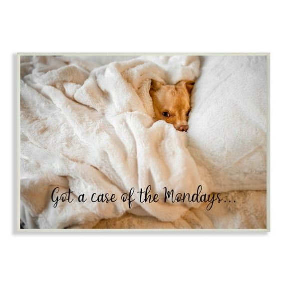 Stupell Industries Case of the Mondays Quote Dog Nap Pet Humor Wall Plaque Design by Ziwei Li