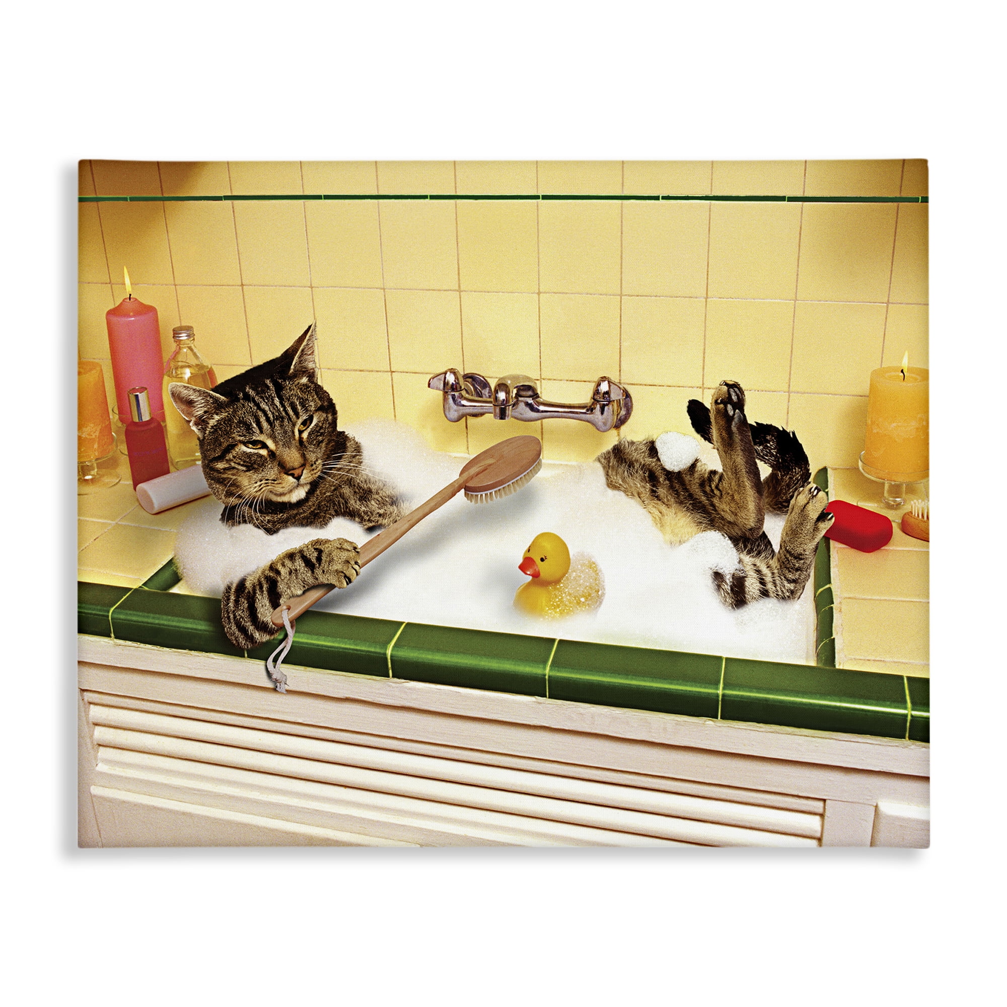 Stupell Industries Cat Bathing in Tub Typography Painting Gallery Wrapped Canvas Art Print Wall Art, 20 x 16
