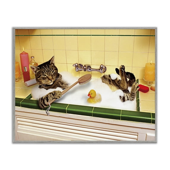Stupell Industries Cat Bathing in Tub Typography Painting Gray Framed Art Print Wall Art, 14 x 11