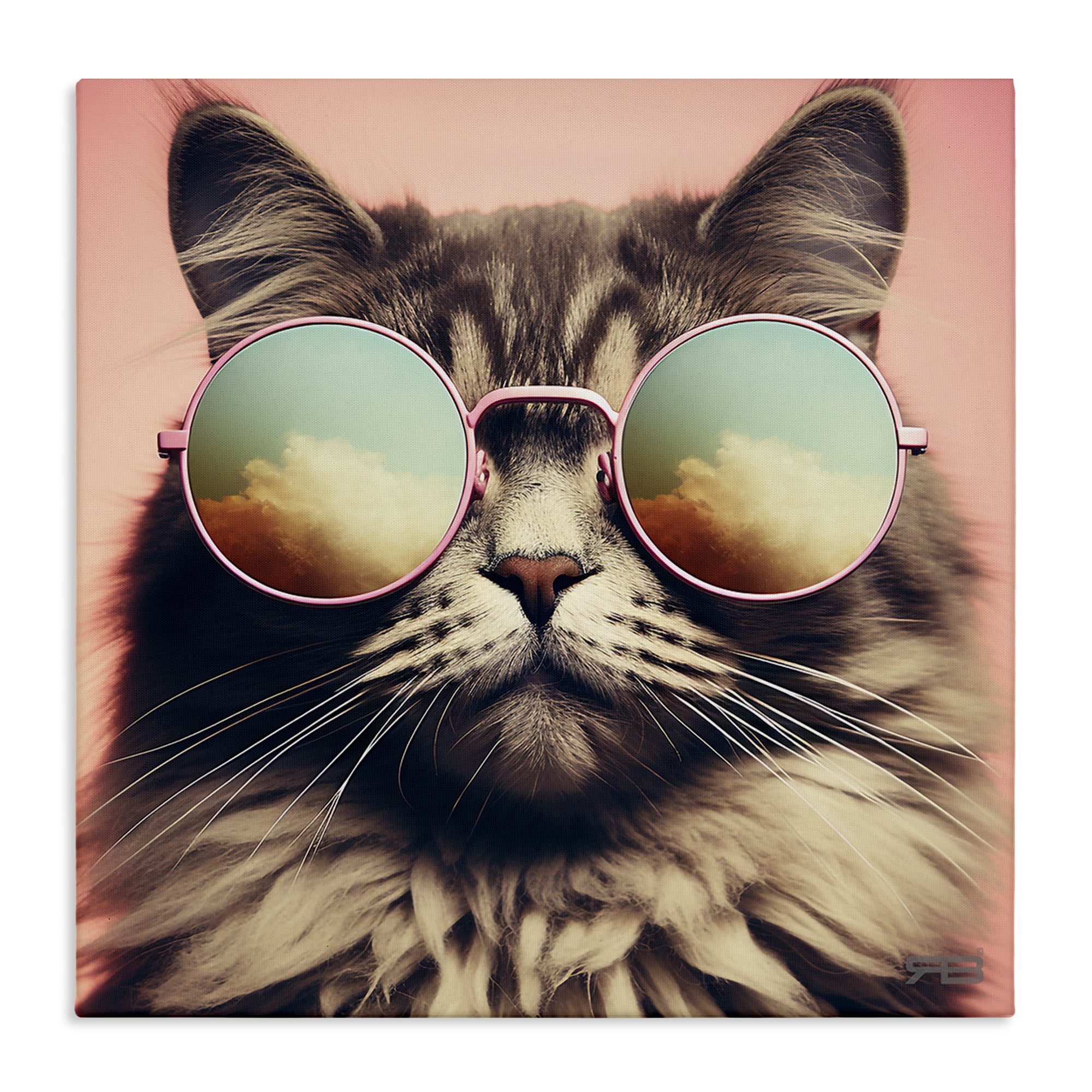 Stupell Industries Cat & Cloud Reflection Glasses Animals & Insects Painting Gallery Wrapped Canvas Art Print Wall Art, 17 x 17