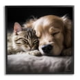 thumbnail image 1 of Stupell Industries Cat & Dog Photography Animals & Insects Photography Black Framed Art Print Wall Art, 12 x 12, 1 of 9