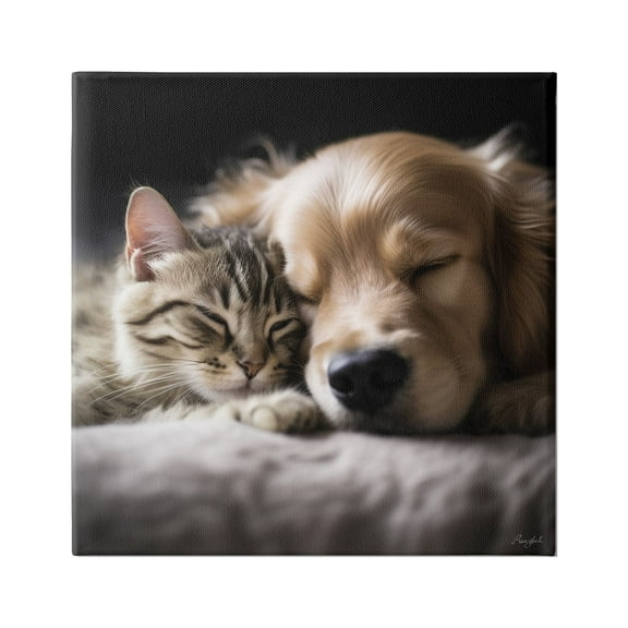 Stupell Industries Cat & Dog Photography Animals & Insects Photography Gallery Wrapped Canvas Art Print Wall Art, 17 x 17