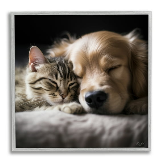 Stupell Industries Cat & Dog Photography Animals & Insects Photography Gray Framed Art Print Wall Art, 17 x 17