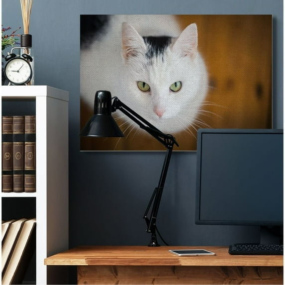 Stupell Industries Cat Eyes Animal Photograph Canvas Wall Art by Matthias Conrad
