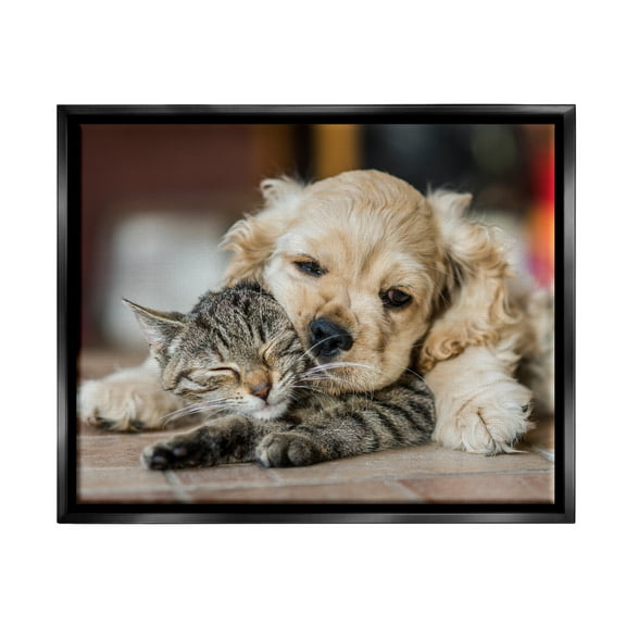 Stupell Industries Cat & Puppy Cuddling Animals & Insects Photography Black Floater Framed Canvas Art Print Wall Art, 21 x 17