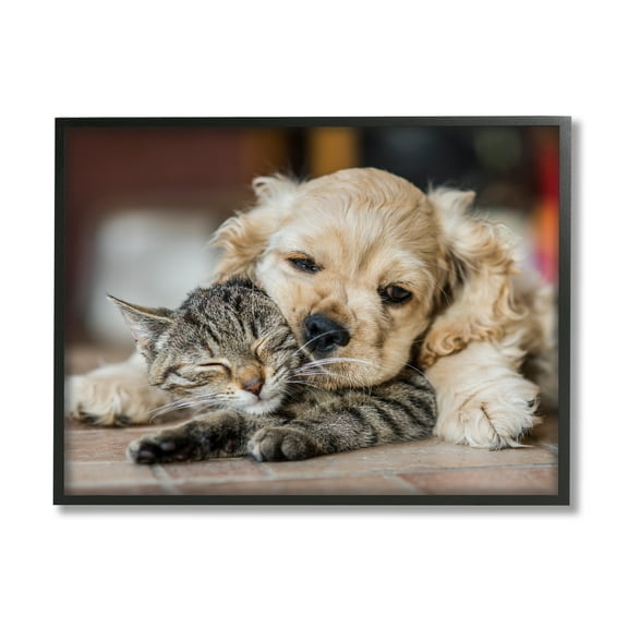 Stupell Industries Cat & Puppy Cuddling Animals & Insects Photography Black Framed Art Print Wall Art, 14 x 11