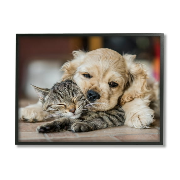 Stupell Industries Cat & Puppy Cuddling Animals & Insects Photography Black Framed Art Print Wall Art, 30 x 24