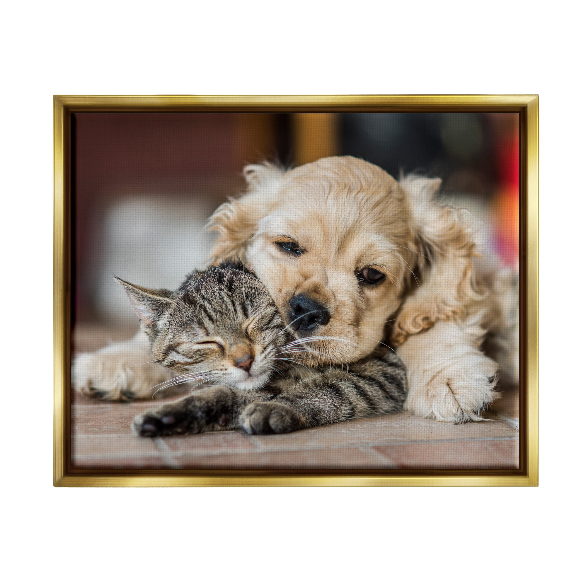 Stupell Industries Cat & Puppy Cuddling Animals & Insects Photography Gold Floater Framed Canvas Art Print Wall Art, 21 x 17