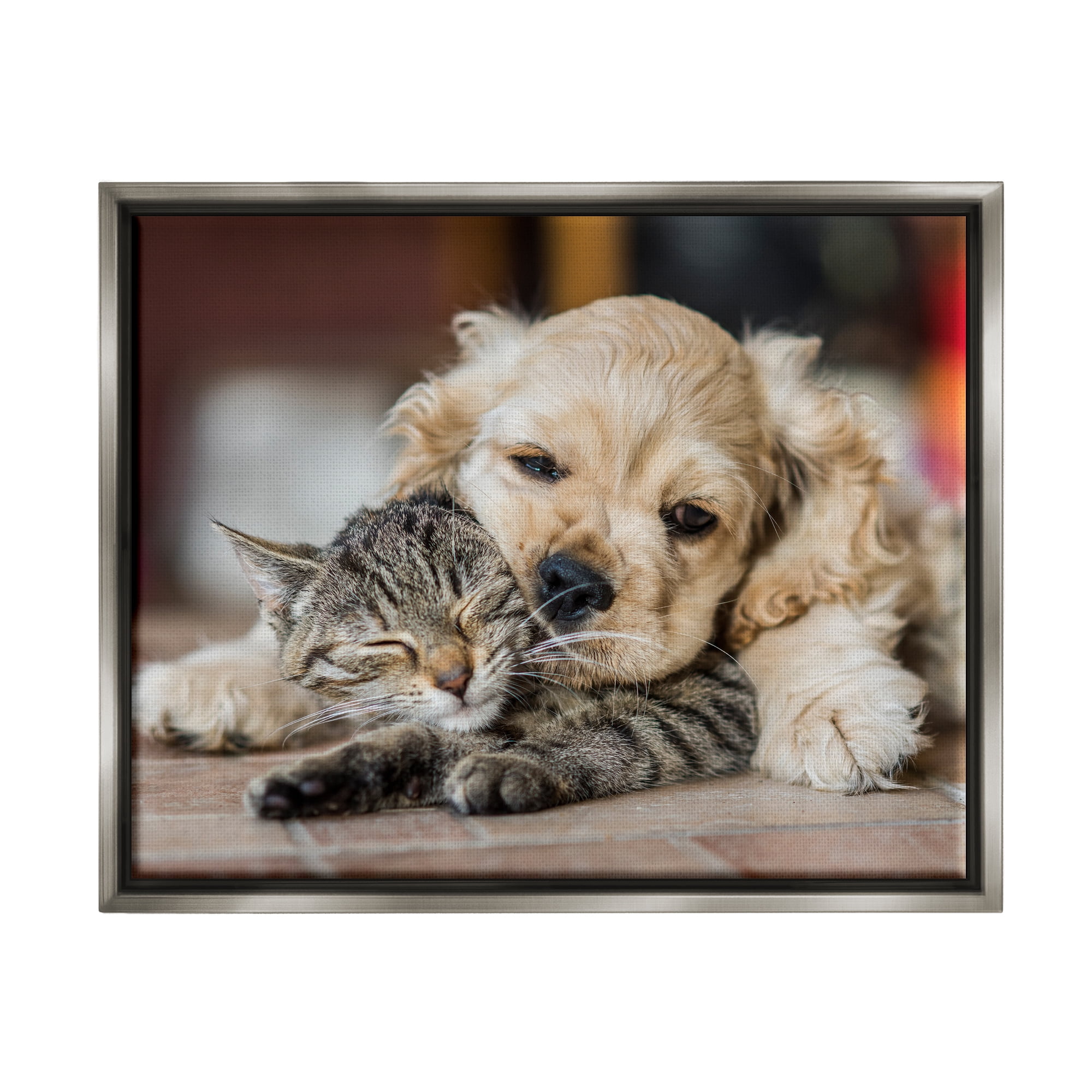 Stupell Industries Cat & Puppy Cuddling Animals & Insects Photography Gray Floater Framed Canvas Art Print Wall Art, 21 x 17