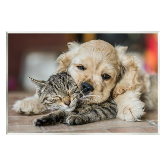 Stupell Industries Cat & Puppy Cuddling Animals & Insects Photography Unframed Art Print Wall Art, 19 x 13