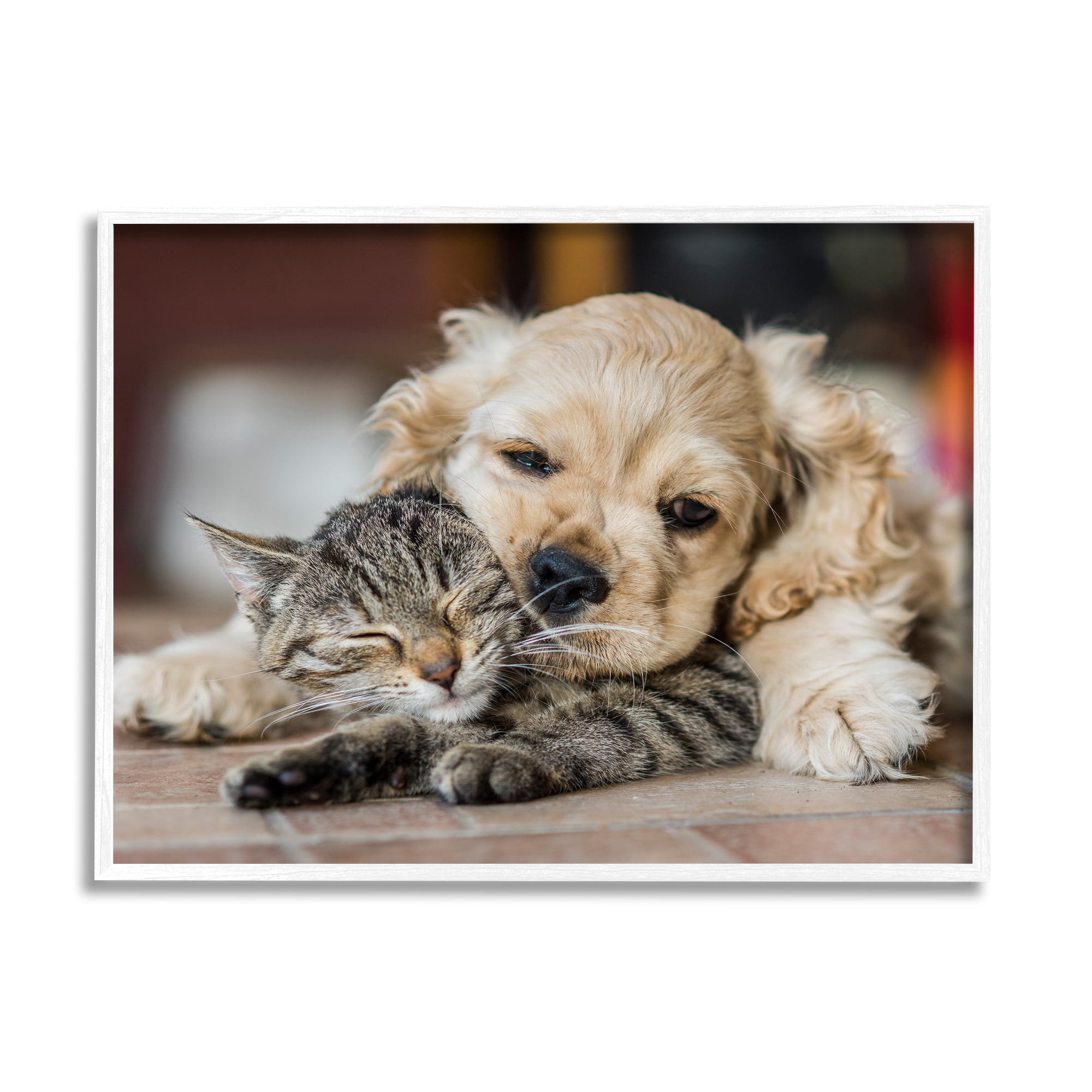 Stupell Industries Cat & Puppy Cuddling Animals & Insects Photography White Framed Art Print Wall Art, 30 x 24