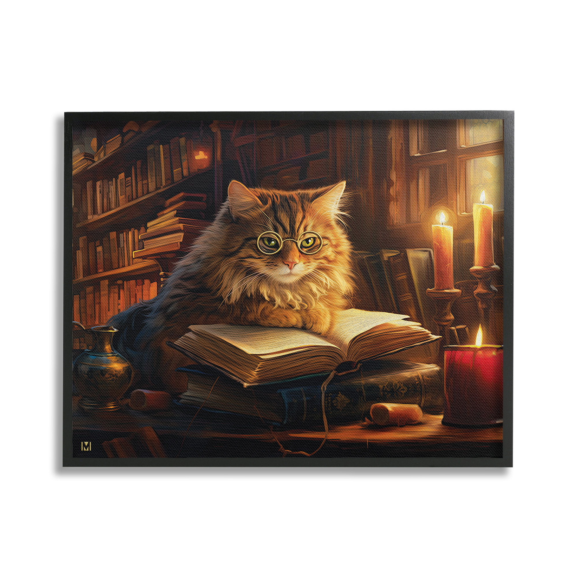 Stupell Industries Cat Reading by Candlelight Animals & Insects Painting Black Framed Art Print Wall Art, 20 x 16
