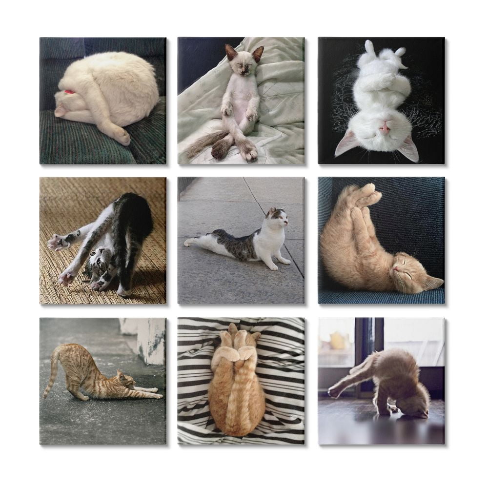 Stupell Industries Cat Yoga Stretching Poses Animal Life Pet Humor Canvas Wall Art Design by R. Nob, 9 Piece, 12" x 12"