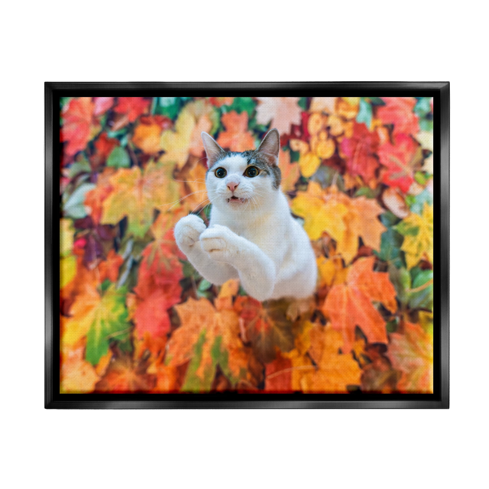 Stupell Industries Cat in Autumn Leaf Pile Animals & Insects Photography Black Floater Framed Canvas Art Print Wall Art, 21 x 17