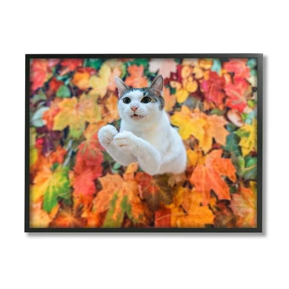 Stupell Industries Cat in Autumn Leaf Pile Animals & Insects Photography Black Framed Art Print Wall Art, 14 x 11