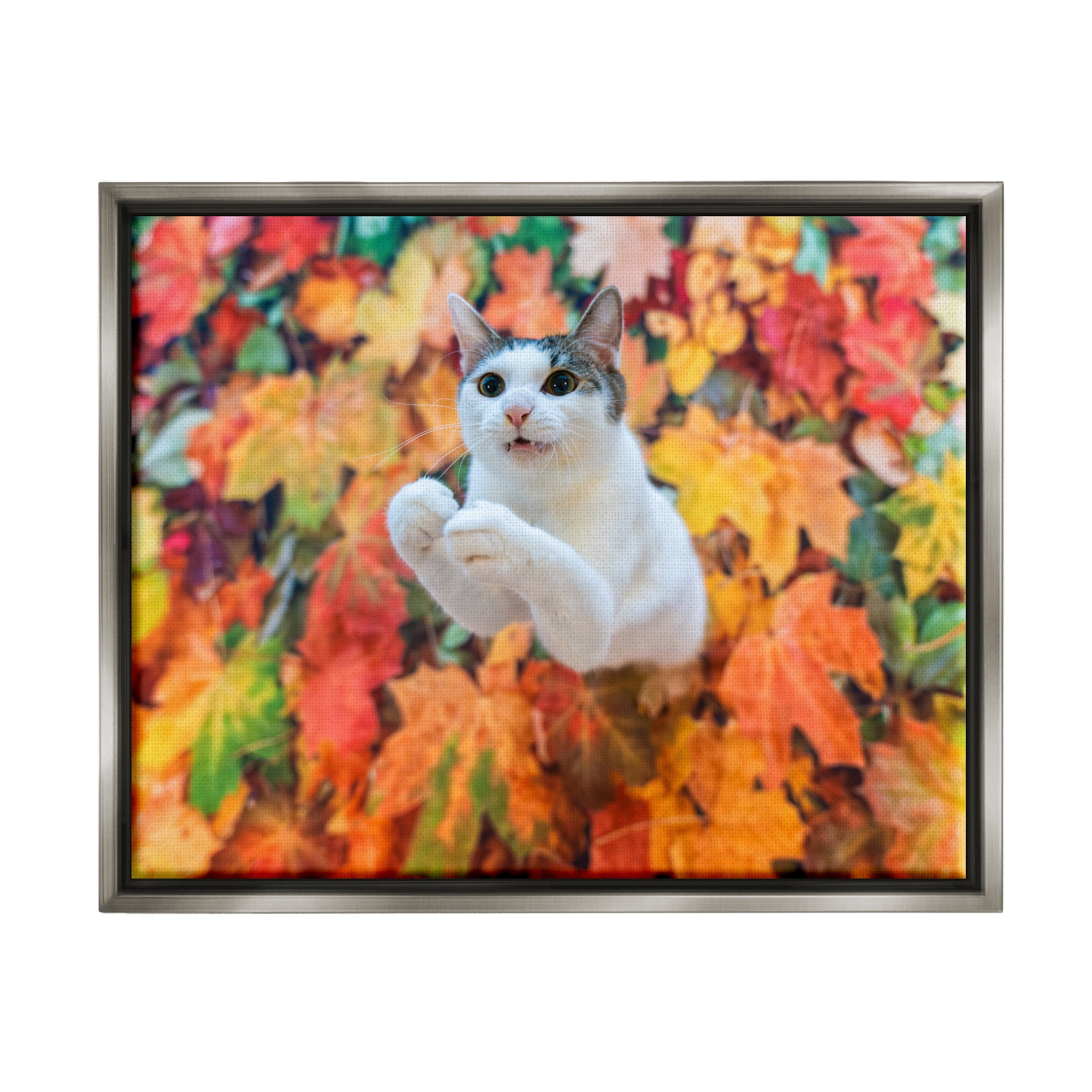 Stupell Industries Cat in Autumn Leaf Pile Animals & Insects Photography Gray Floater Framed Canvas Art Print Wall Art, 21 x 17