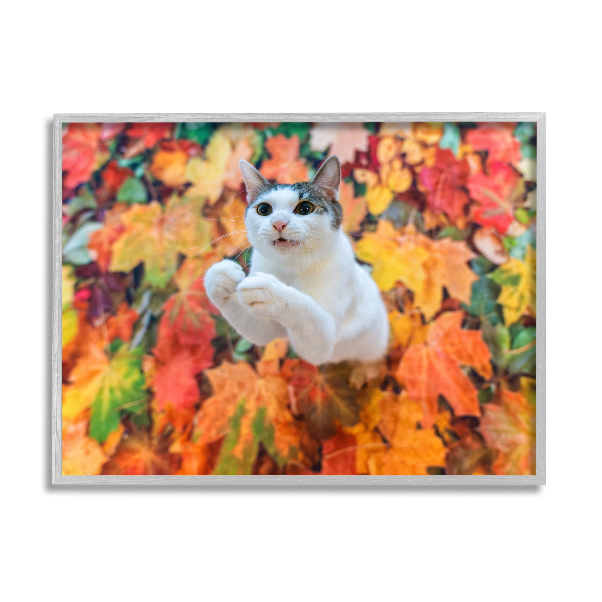 Stupell Industries Cat in Autumn Leaf Pile Animals & Insects Photography Gray Framed Art Print Wall Art, 14 x 11