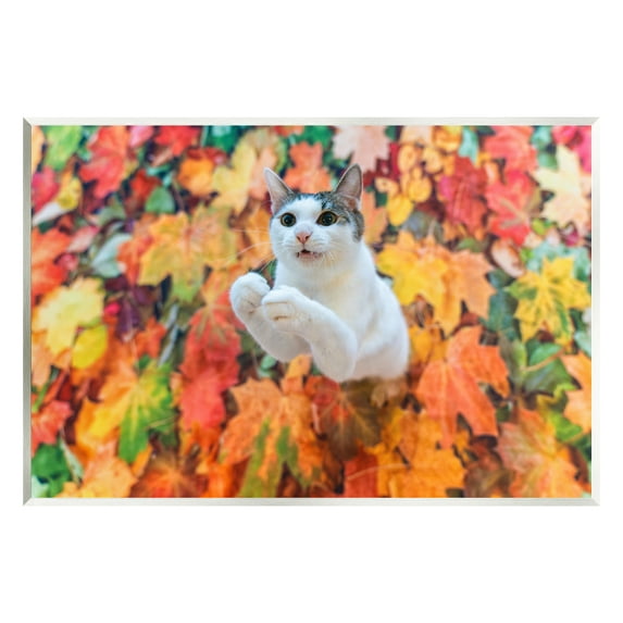Stupell Industries Cat in Autumn Leaf Pile Animals & Insects Photography Unframed Art Print Wall Art, 15 x 10