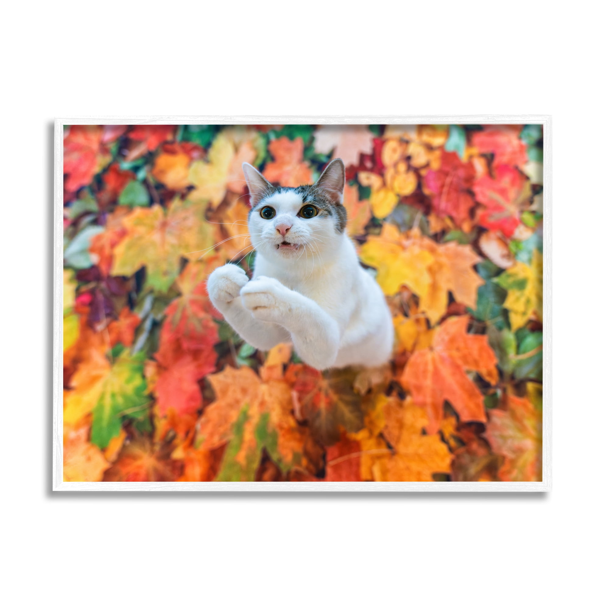 Stupell Industries Cat in Autumn Leaf Pile Animals & Insects Photography White Framed Art Print Wall Art, 14 x 11