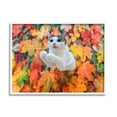 Stupell Industries Cat in Autumn Leaf Pile Animals & Insects