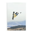 thumbnail image 1 of Stupell Industries Catching Air Snowboarder Sports Photography Unframed Art Print Wall Art, 10 x 15, 1 of 8