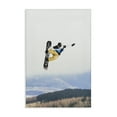 thumbnail image 1 of Stupell Industries Modern Catching Air Snowboarder Canvas Art, 16 x 24, by Max Blakesberg Studios, 1 of 8