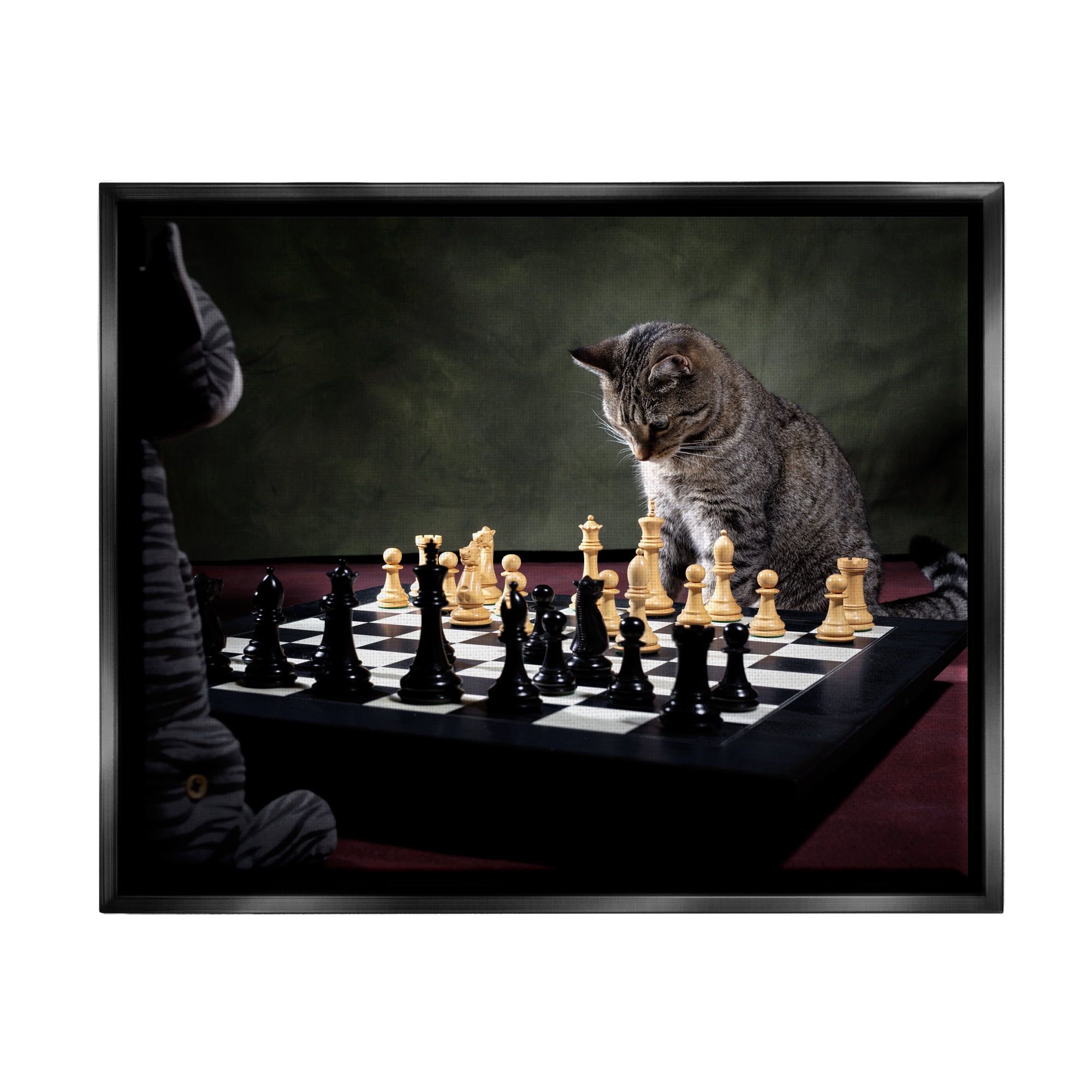 Stupell Industries Cats Playing Chess Animals & Insects Photography Black Floater Framed Canvas Art Print Wall Art, 21 x 17