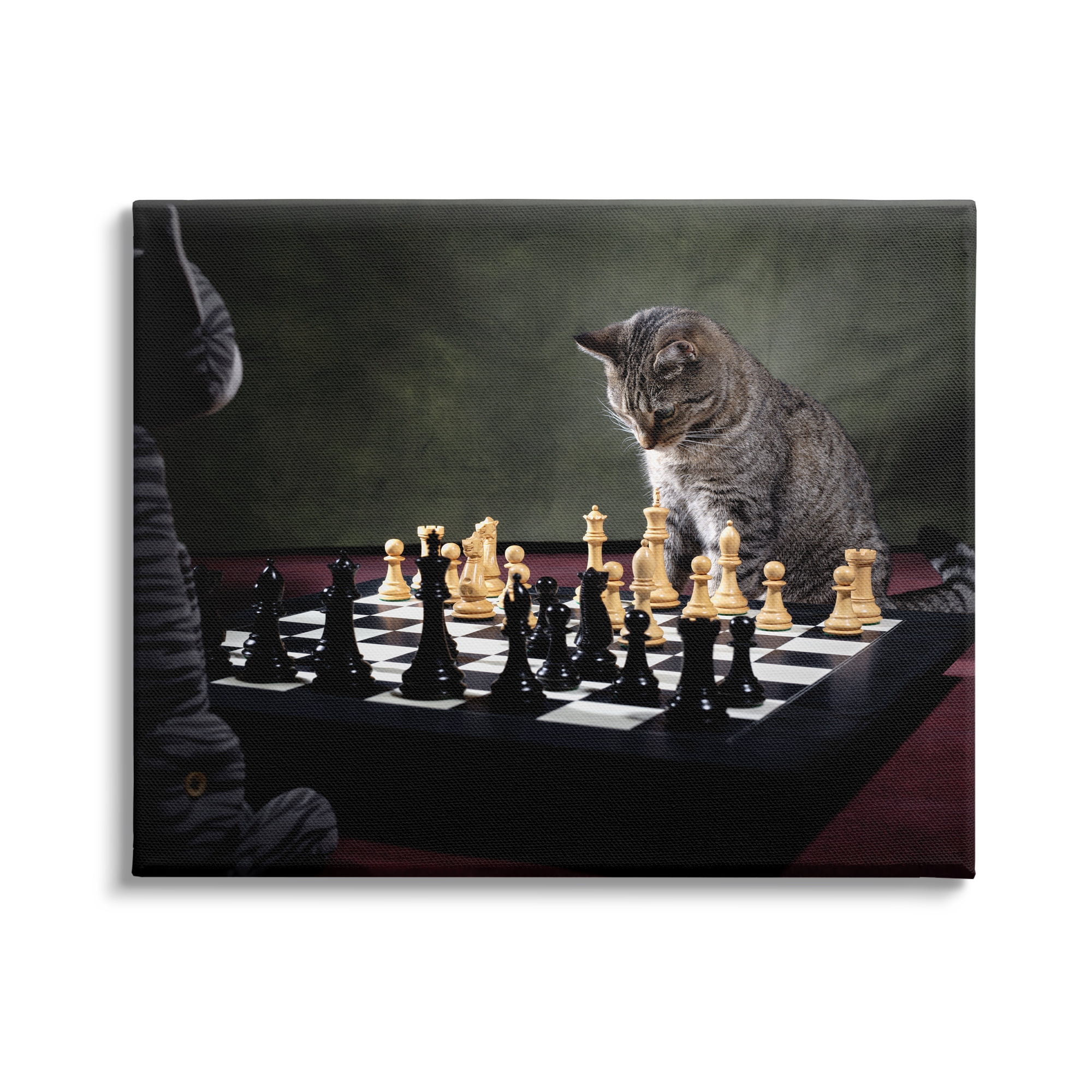 20" x 16" Gray and Beige Cat Playing Chess Canvas Print