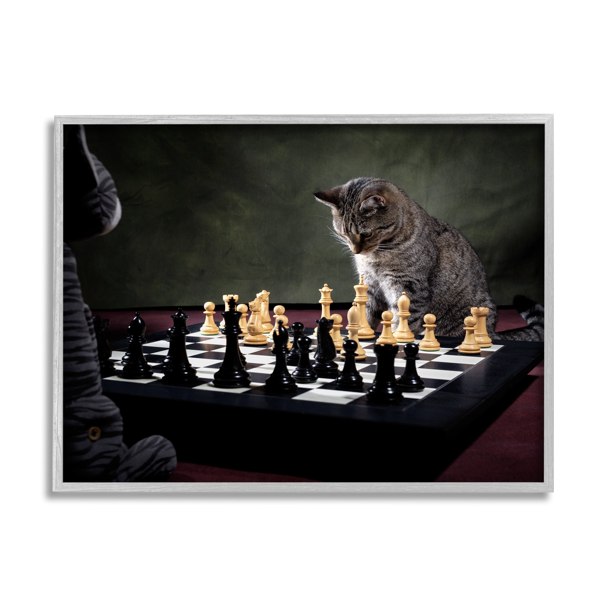 Stupell Industries Cats Playing Chess Animals & Insects Photography Gray Framed Art Print Wall Art, 30 x 24