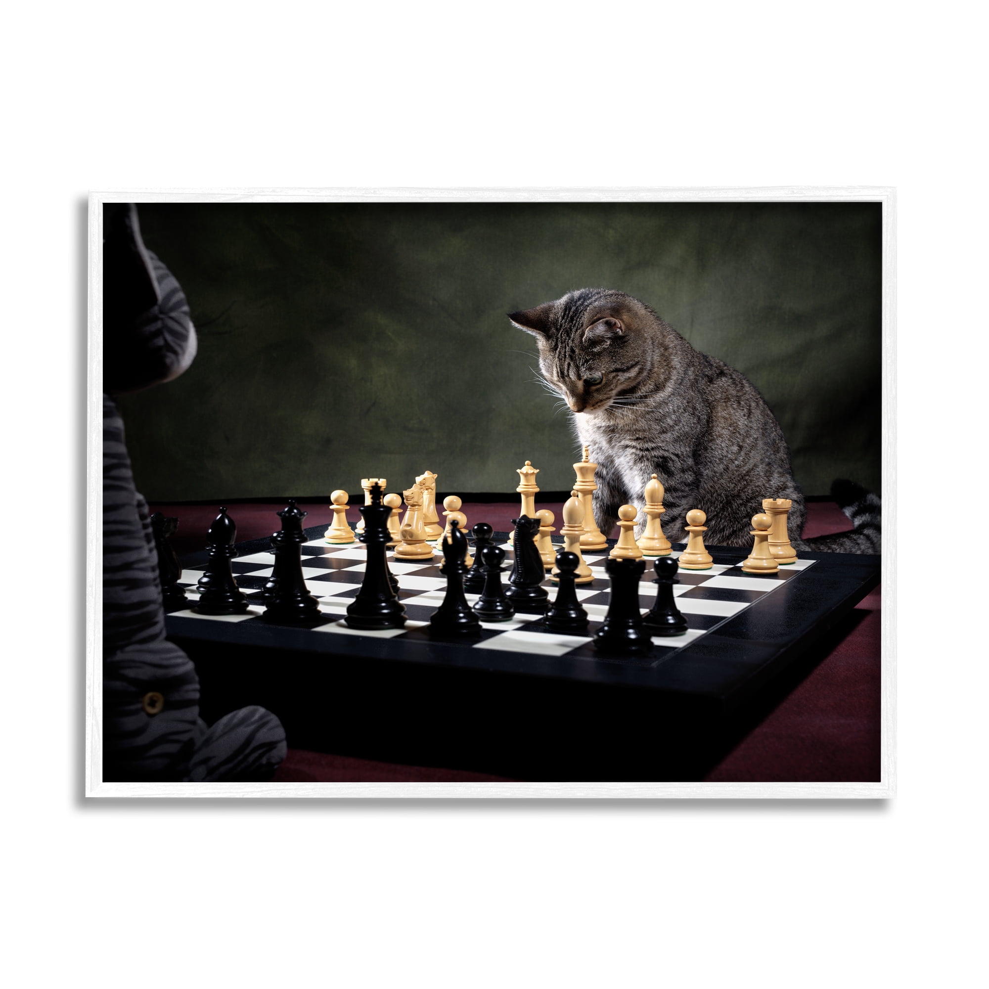 Stupell Industries Cats Playing Chess Animals & Insects Photography White Framed Art Print Wall Art, 14 x 11