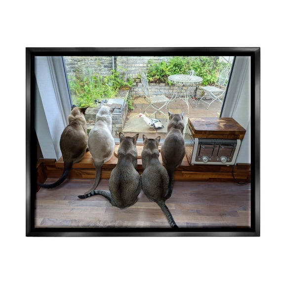 Stupell Industries Cats Watching Bird at Window Animals & Insects Photography Black Floater Framed Canvas Art Print Wall Art, 21 x 17