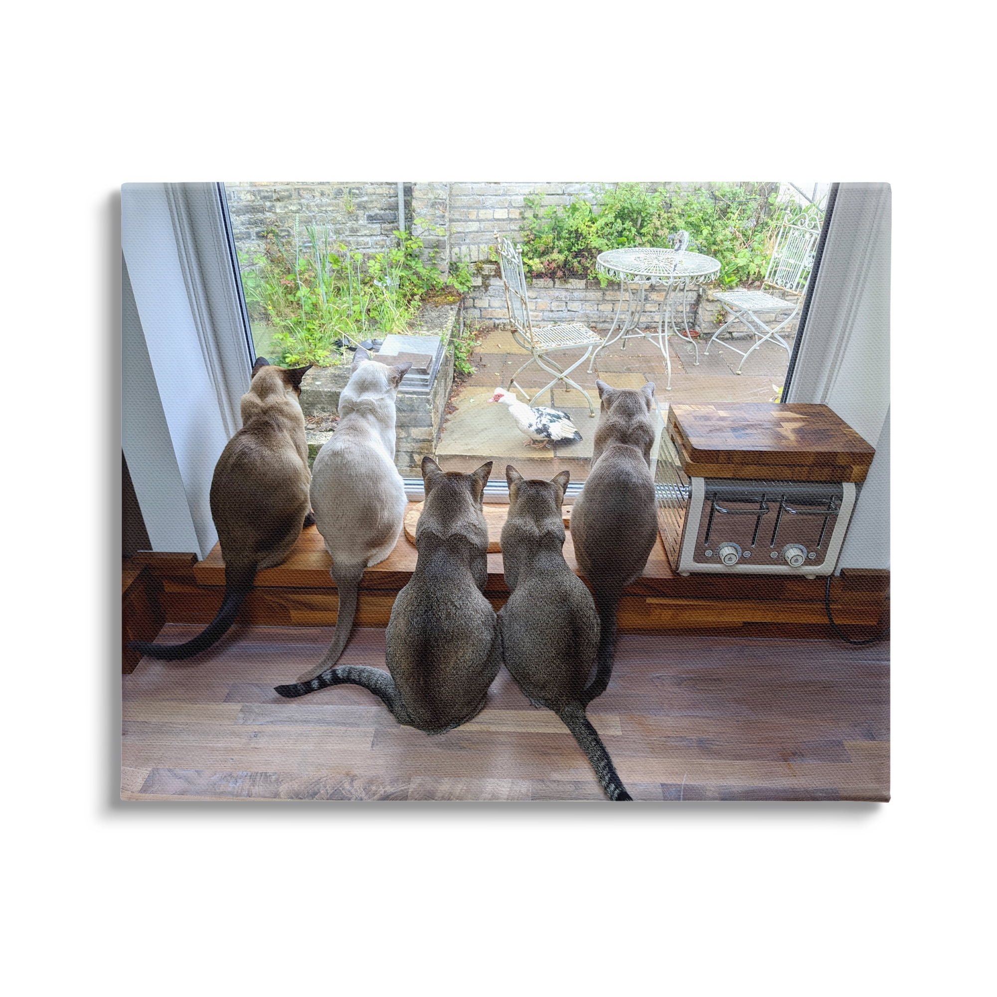 Stupell Industries Cats Watching Bird at Window Animals & Insects Photography Gallery Wrapped Canvas Art Print Wall Art, 48 x 36