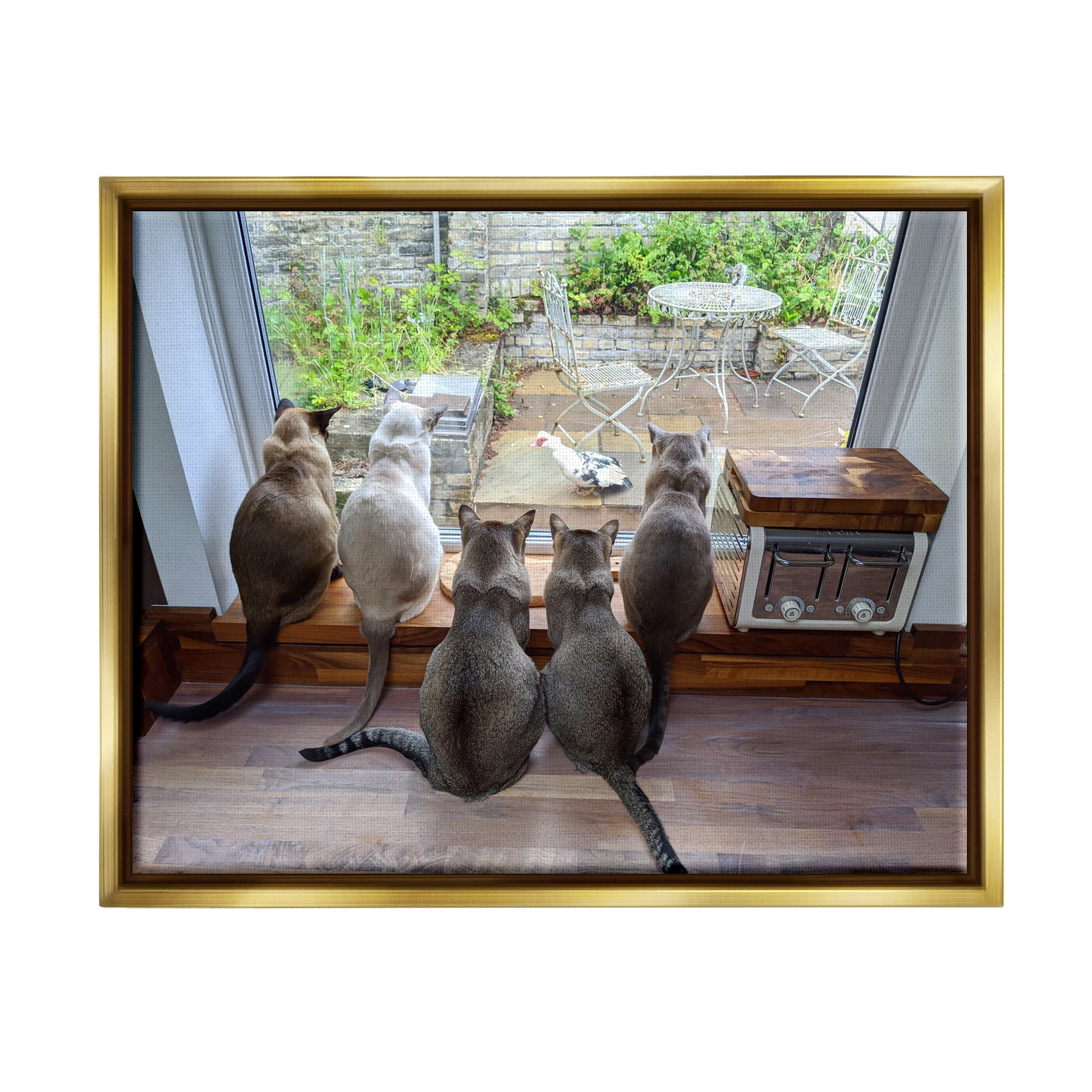 Stupell Industries Cats Watching Bird at Window Animals & Insects Photography Gold Floater Framed Canvas Art Print Wall Art, 31 x 25