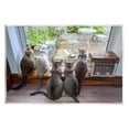 thumbnail image 1 of Stupell Industries Cats Watching Bird at Window Animals & Insects Photography Unframed Art Print Wall Art, 19 x 13, 1 of 7