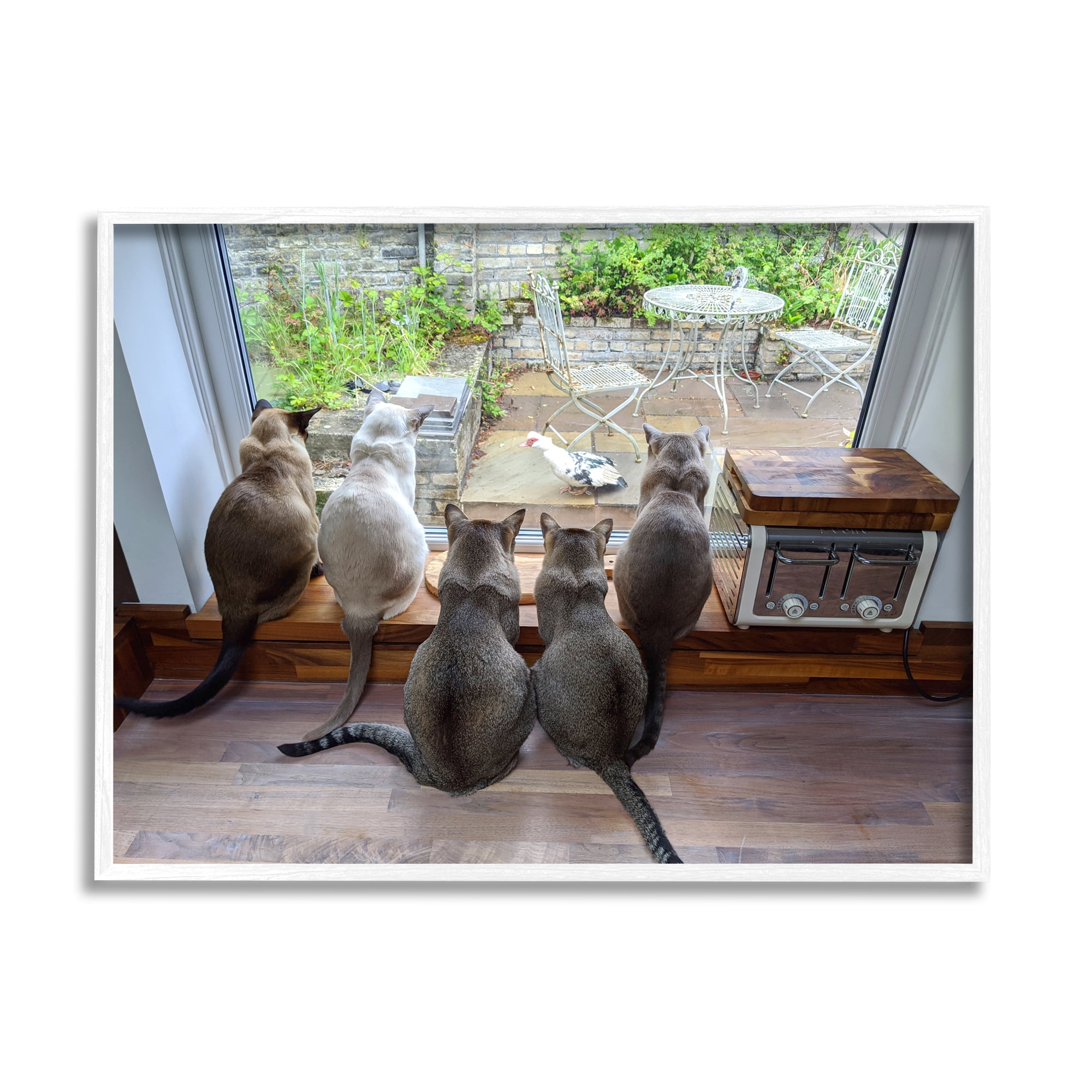 White Framed Cat Watching Bird Canvas Print, 14 x 11