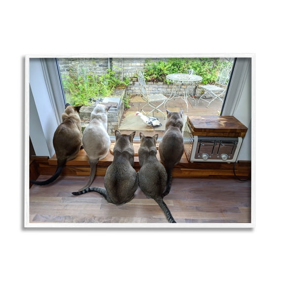 Stupell Industries Cats Watching Bird at Window Animals & Insects Photography White Framed Art Print Wall Art, 30 x 24