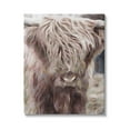 thumbnail image 1 of Stupell Industries Cattle Abstract Portrait Animals & Insects Painting Gallery Wrapped Canvas Art Print Wall Art, 24 x 30, 1 of 8