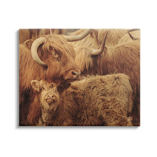 Stupell Industries Cattle & Calf Photography Animals & Insects Photography Gallery Wrapped Canvas Print Wall Art, 48 x 36