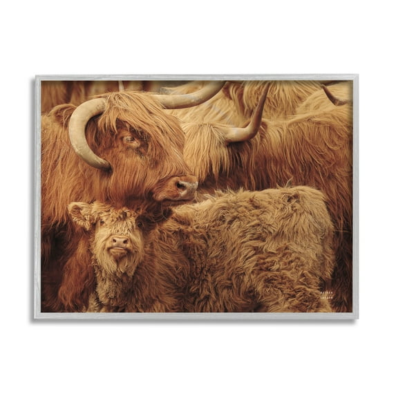 Stupell Industries Cattle & Calf Photography Animals & Insects Photography Gray Framed Art Print Wall Art, 14 x 11