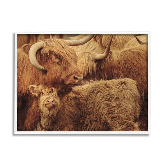 Stupell Industries Cattle & Calf Photography Animals & Insects Photography White Framed Art Print Wall Art, 30 x 24
