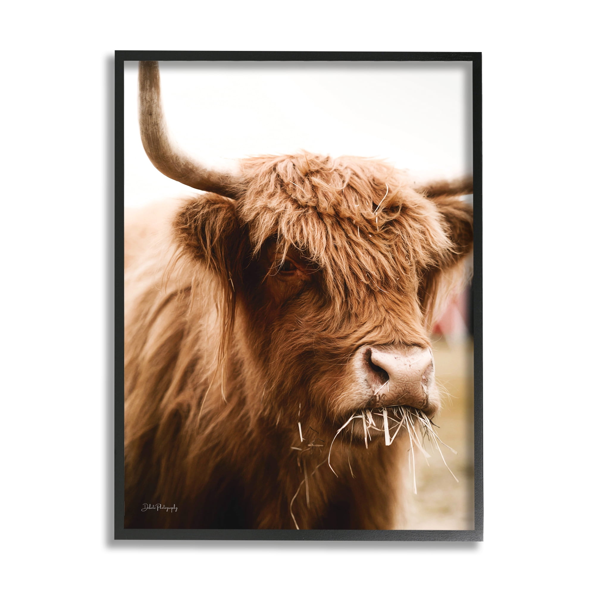 Stupell Industries Cattle Chewing Photography Animals & Insects Photography Black Framed Art Print Wall Art, 16 x 20